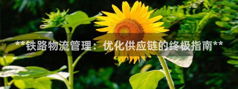28圈机器人是什么软件：**铁路物流