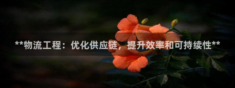 28圈如何看计划：**物流工程：优化