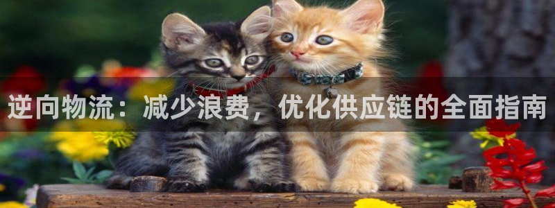 28圈选28ng官网：逆向物流：减少