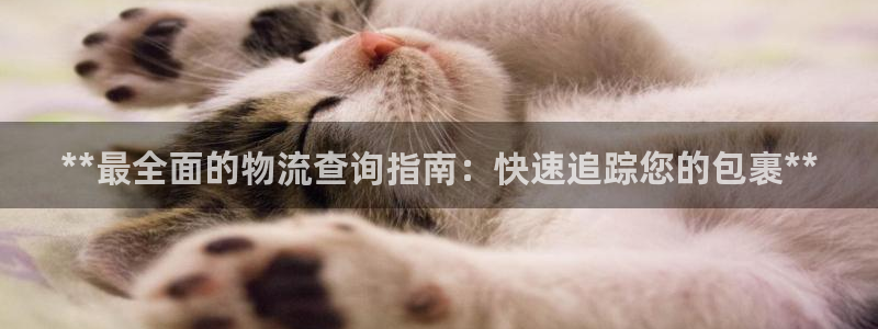 28圈注册网页版：**最全面的物流查