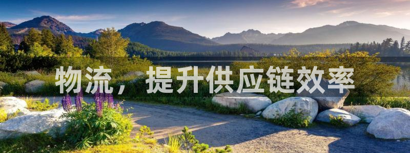 28圈反水