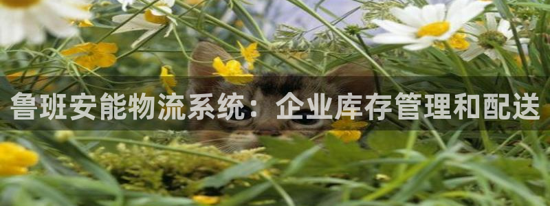 28圈下载二维码怎么弄