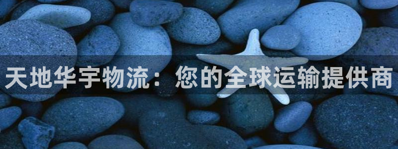 28圈玩法：天地华宇物流：您的全球运