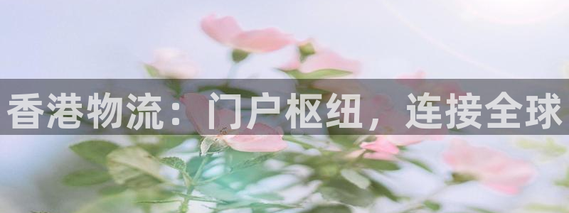 pc28圈怎么注册：香港物流：门户枢