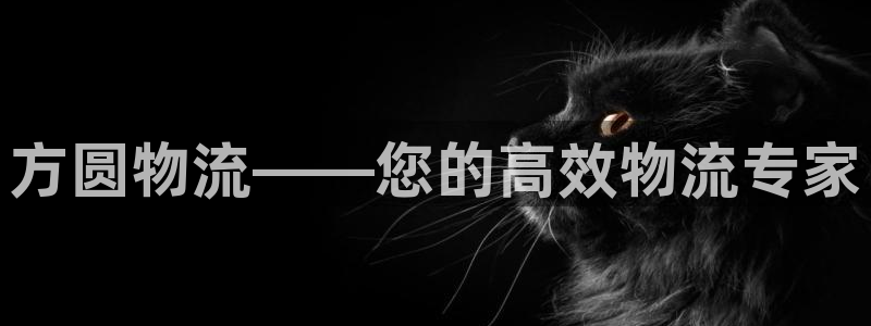 28圈注册链接教程：方圆物流——您的