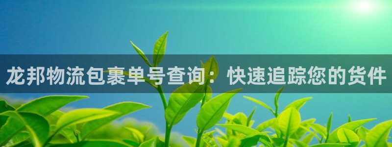 28圈和南宫28什么关系：龙邦物流包