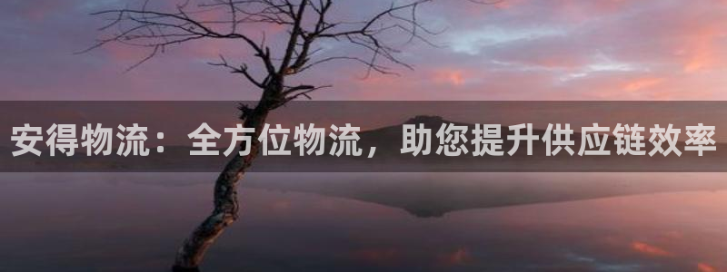 28圈体育下载：安得物流：全方位物流
