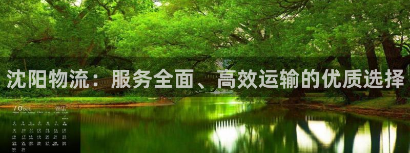 28圈pg麻将胡了：沈阳物流：服务全