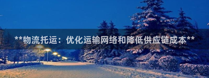 28圈pg麻将胡了：**物流托运：优