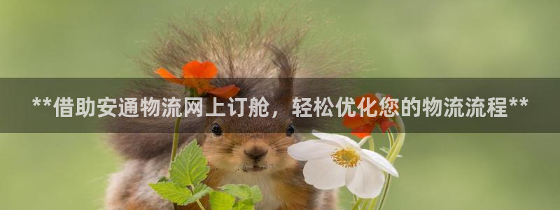 28圈是啥：**借助安通物流网上订舱