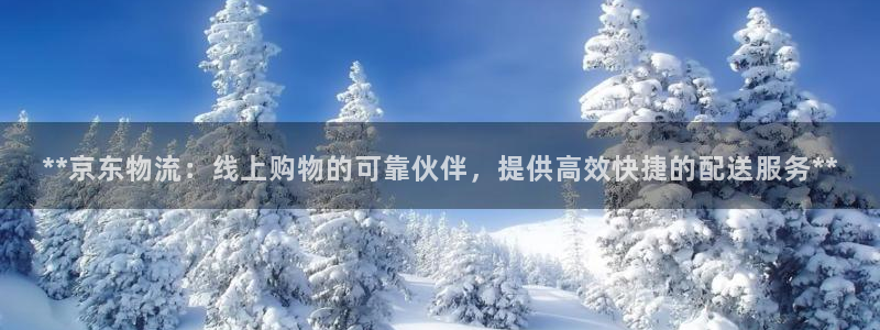 28圈如何看计划：**京东物流：线上
