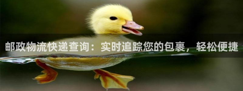 28圈忘记账号：邮政物流快递查询：实