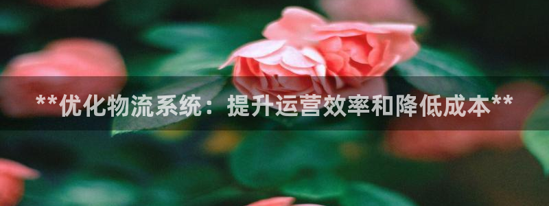 28圈充值不到账什么原因：**优化物