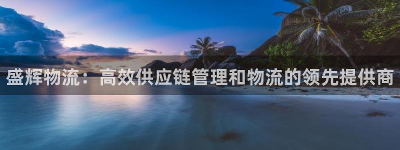 28圈网赌有什么风险：盛辉物流：高效