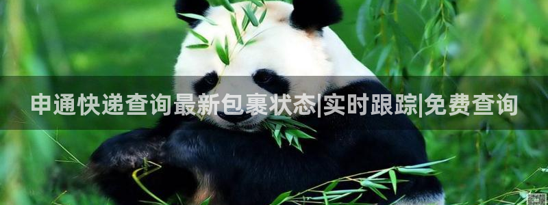 28圈登录网：申通快递查询最新包裹状