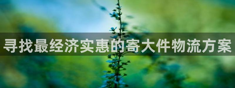 28圈激活码：寻找最经济实惠的寄大件