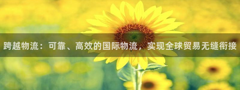 28圈官网多少：跨越物流：可靠、高效