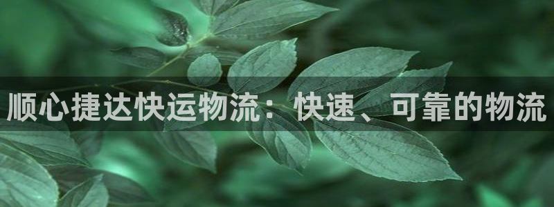 28圈推广链接是多少粉丝