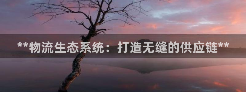 28圈流水怎么算：**物流生态系统：