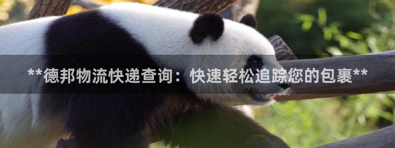 28圈免费充钱：**德邦物流快递查询