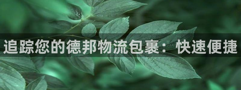 28圈正规吗