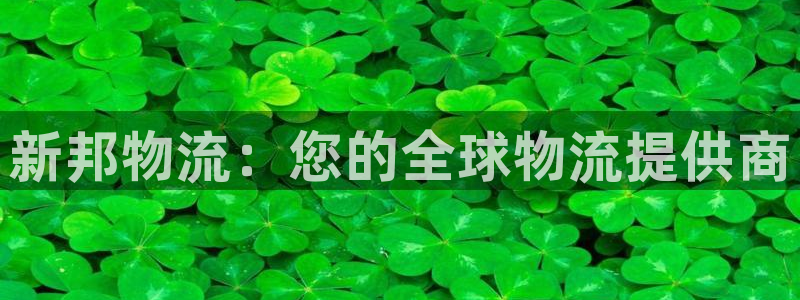 28圈取保