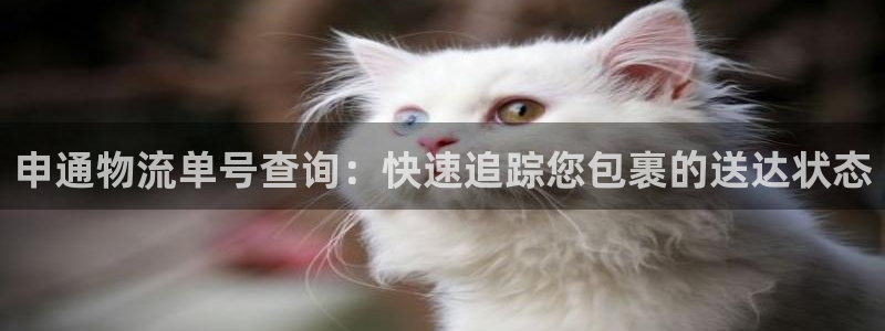 28圈怎么下载不了：申通物流单号查询