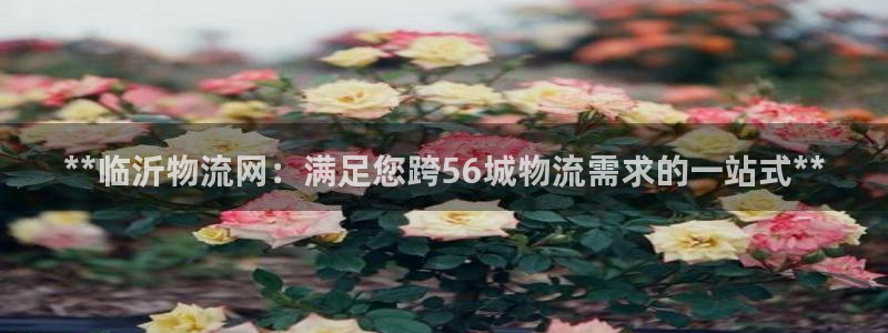 28圈模拟：**临沂物流网：满足您跨