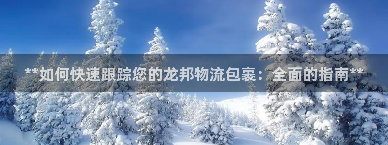 28圈注册链接：**如何快速跟踪您的