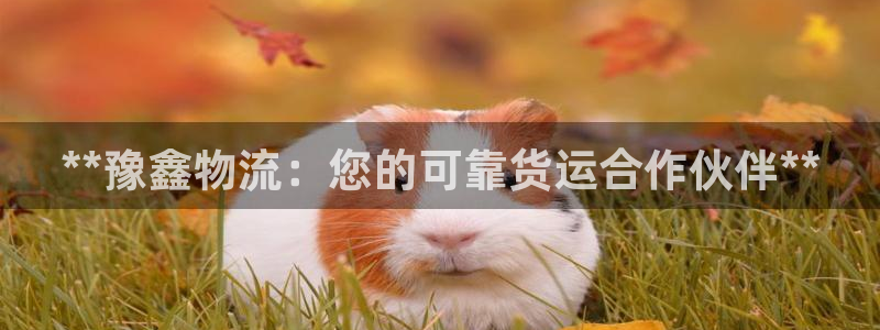 28圈二维码