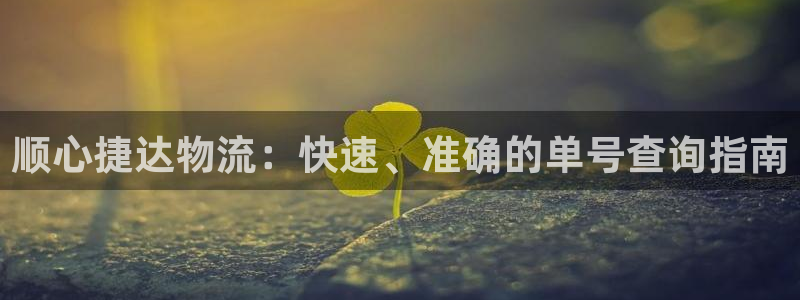 28圈是什么是赌博吗?：顺心捷达物流