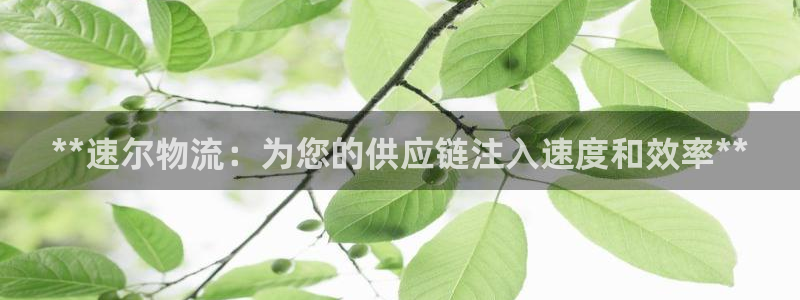 28圈登陆网