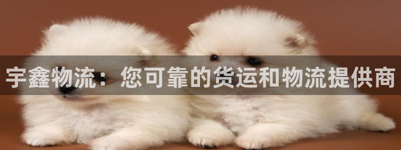 28圈模拟器下载