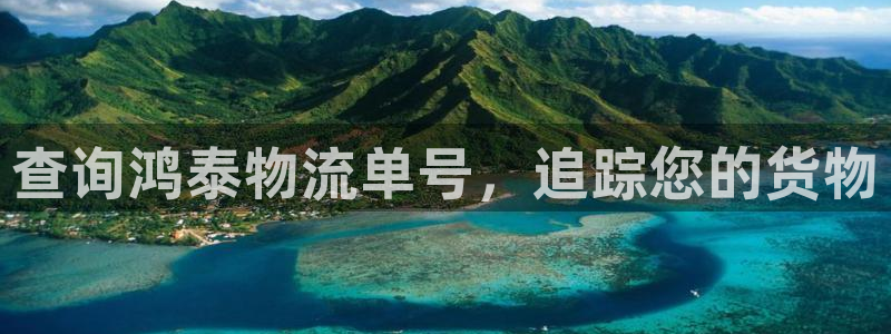 28圈登录流程：查询鸿泰物流单号，追