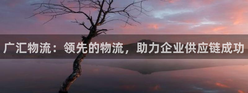 28圈注册链接：广汇物流：领先的物流