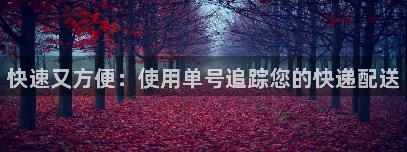 28圈机器人是什么软件