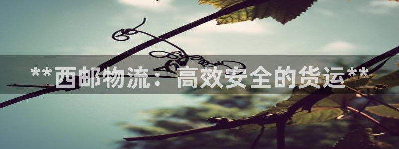 28圈初始密码在哪里修改的