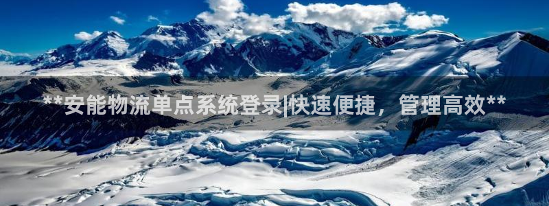 28圈电子游戏：**安能物流单点系统