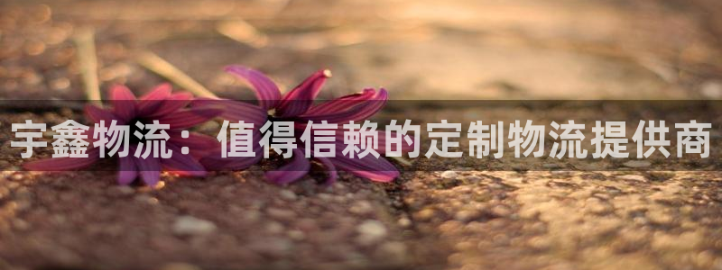 28圈里的财神
