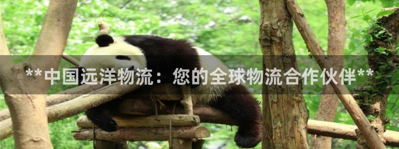 28圈预测：**中国远洋物流：您的全