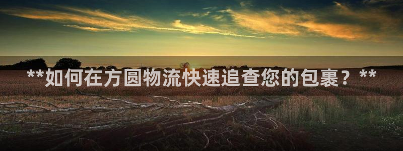 28圈怎么下载