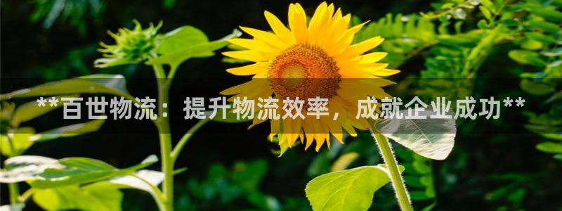 28圈加拿大预测