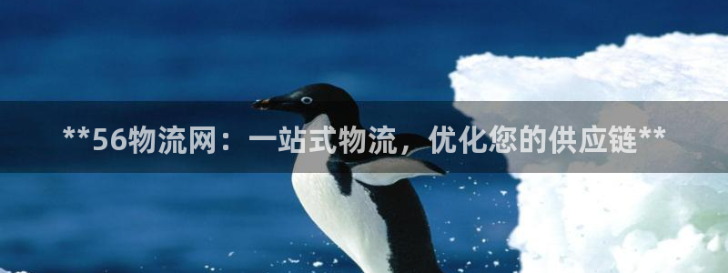 28圈加拿大28