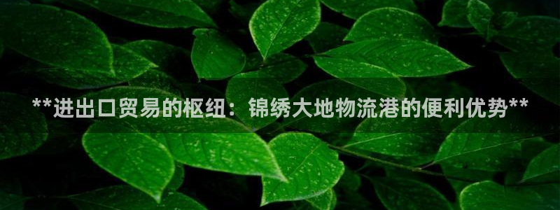 加拿大28圈是什么