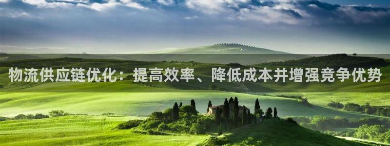 加拿大28圈注册链接：物流供应链优化