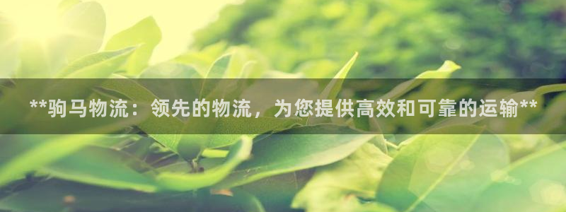 28圈注册教程：**驹马物流：领先的