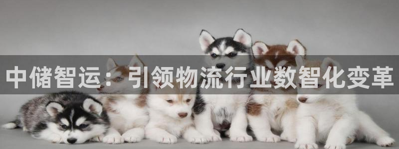 28圈娱乐官网网页：中储智运：引领物