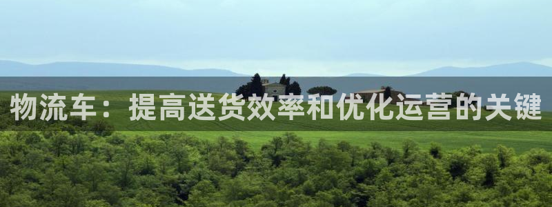 28圈入口问一问：物流车：提高送货效