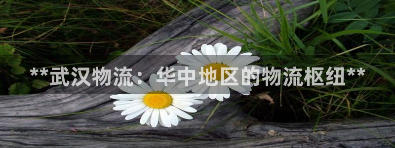 28圈注册链接：**武汉物流：华中地