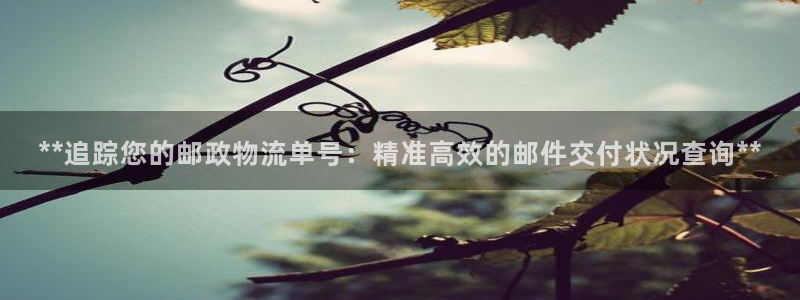 28圈新用户怎么注册：**追踪您的邮